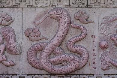 传《使命召唤：战区》手游版开发中 今年发售