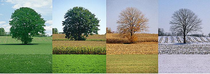 《刺客信条：影》浪漫视频：黑哥泡妞 奈绪江激吻